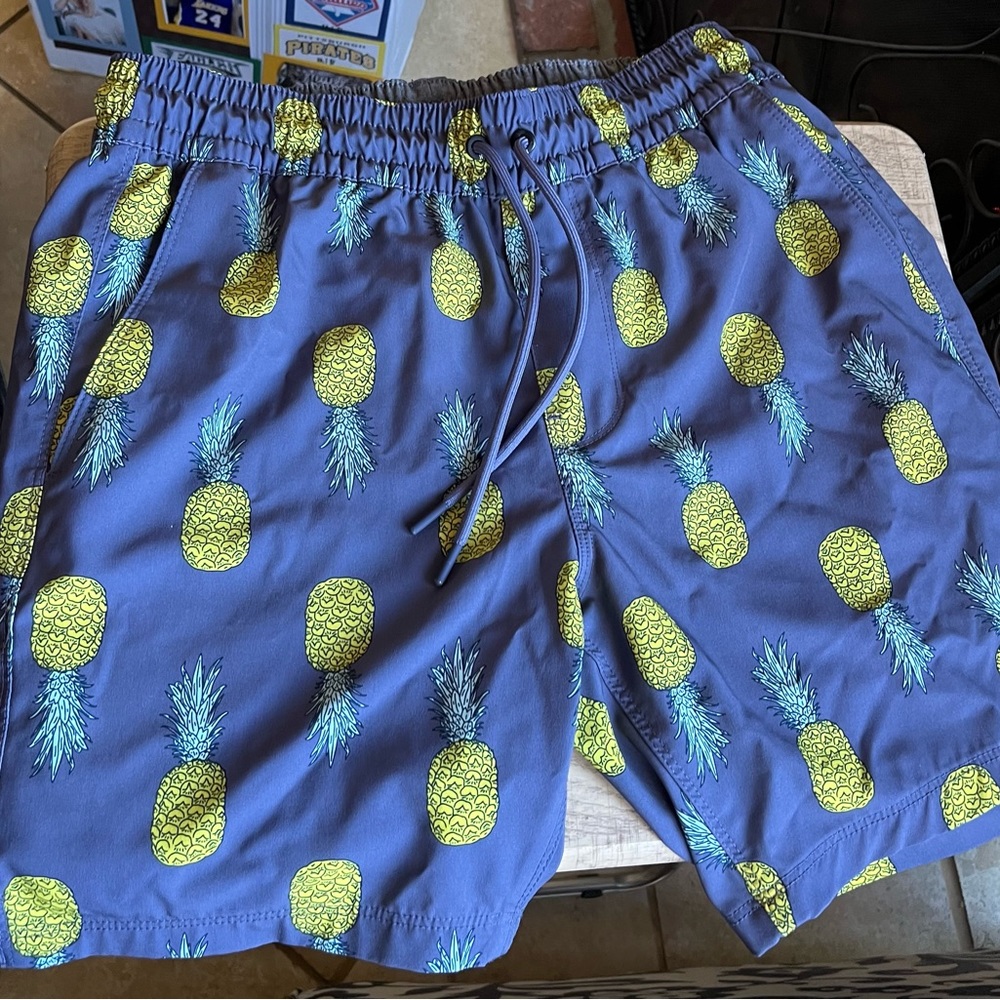 Hurley Mens Swim Shorts